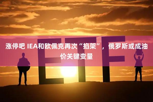 涨停吧 IEA和欧佩克再次“掐架”，俄罗斯或成油价关键变量