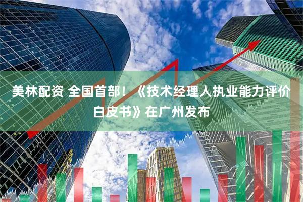 美林配资 全国首部！《技术经理人执业能力评价白皮书》在广州发布