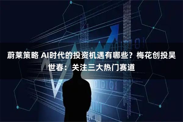 蔚莱策略 AI时代的投资机遇有哪些？梅花创投吴世春：关注三大热门赛道