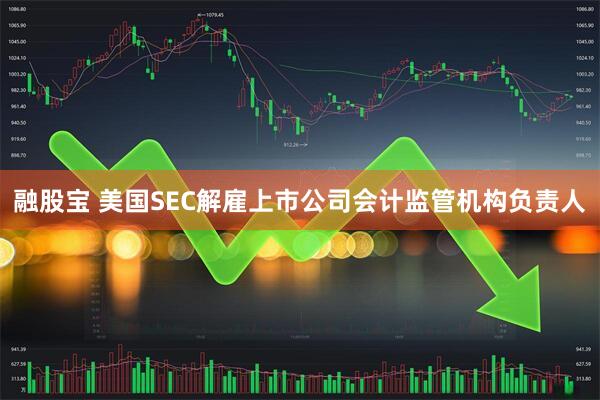 融股宝 美国SEC解雇上市公司会计监管机构负责人