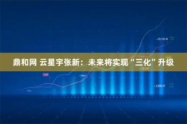 鼎和网 云星宇张新：未来将实现“三化”升级