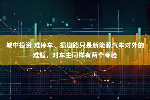 城中投资 难停车、损道路只是新能源汽车对外的难题，对车主同样有两个考验