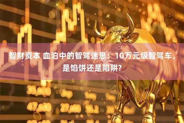 智财资本 血泊中的智驾迷思：10万元级智驾车，是馅饼还是陷阱?