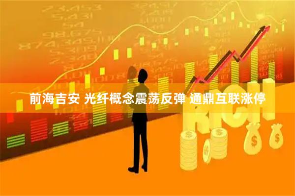 前海吉安 光纤概念震荡反弹 通鼎互联涨停
